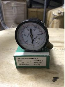 Đồng hồ đo áp suất KK Gauge